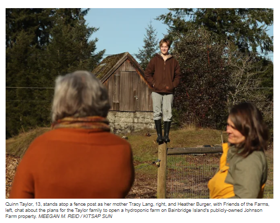 Bainbridge couple plans Kitsap's first commercial hydroponic farm