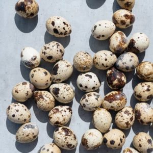 Fresh Quail Eggs ~ Vireo Farm